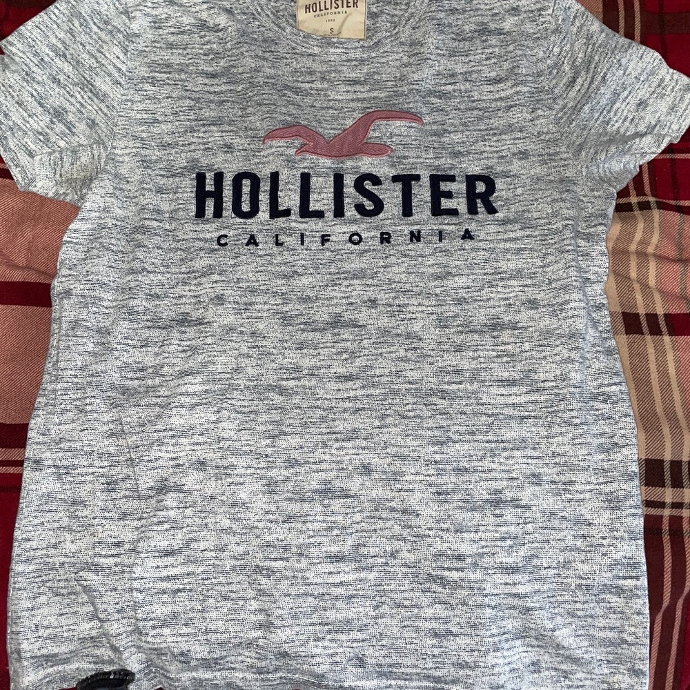 Hollister Mens tee